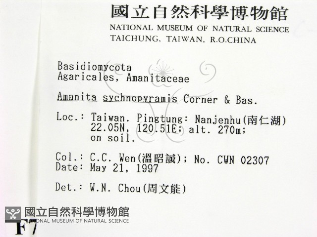登錄號:F0007633藏品圖，第2張