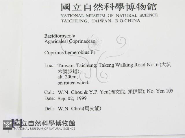 登錄號:F0015633藏品圖，第2張