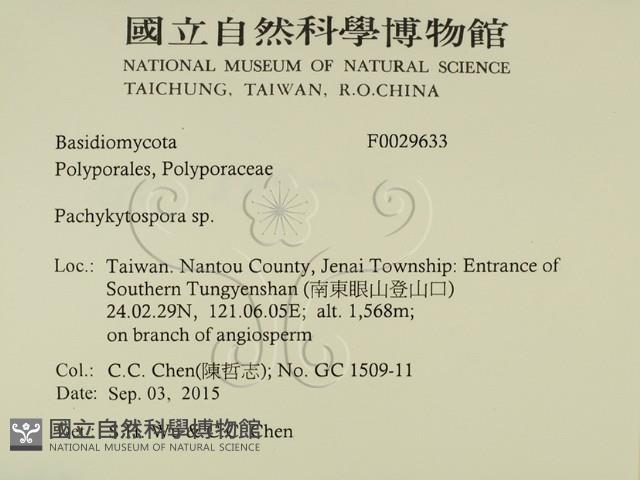 登錄號:F0029633藏品圖，第2張