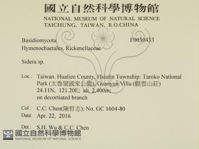 登錄號:F0030433藏品圖，第2張