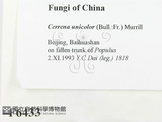 登錄號:F0006433藏品圖，第2張