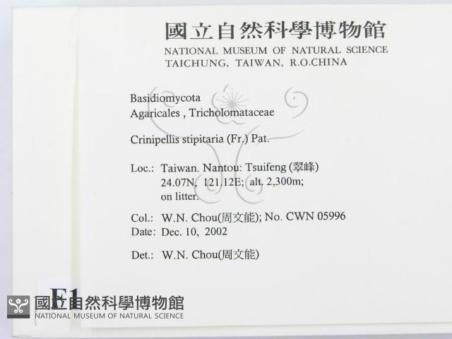 登錄號:F0016433藏品圖，第2張