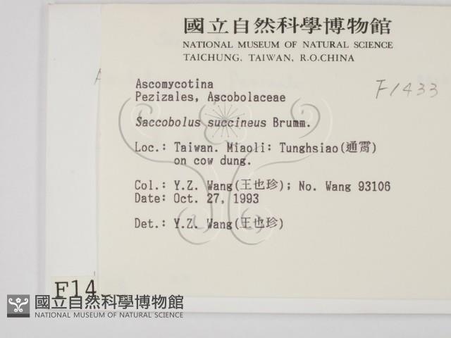 登錄號:F0001433藏品圖，第2張