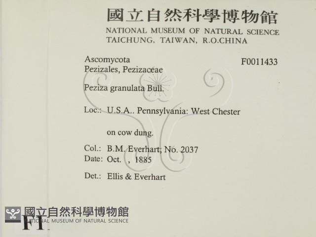 登錄號:F0011433藏品圖，第2張