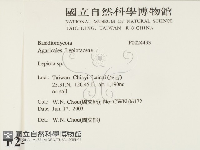 登錄號:F0024433藏品圖，第2張