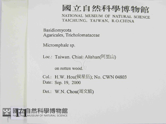 登錄號:F0014433藏品圖，第2張