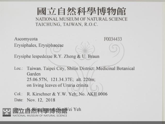 登錄號:F0034433藏品圖，第2張