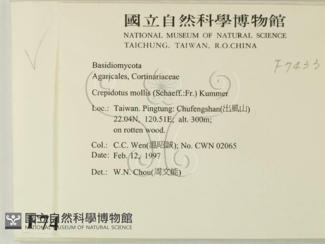 登錄號:F0007433藏品圖，第2張