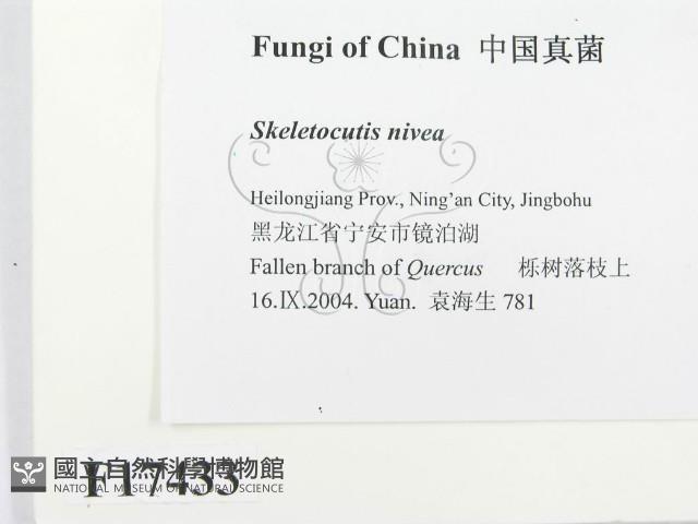 登錄號:F0017433藏品圖，第2張