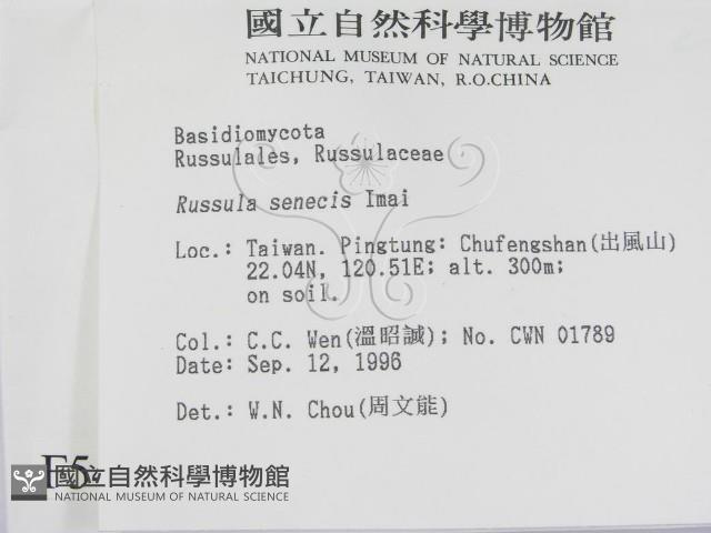 登錄號:F0005433藏品圖，第2張