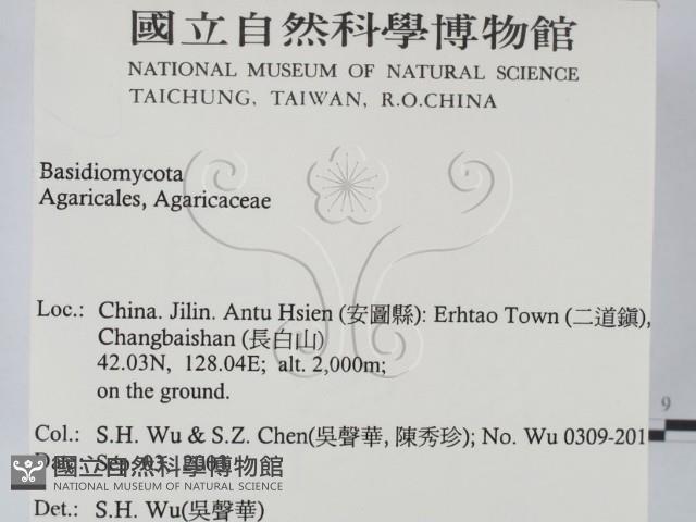 登錄號:F0015433藏品圖，第2張