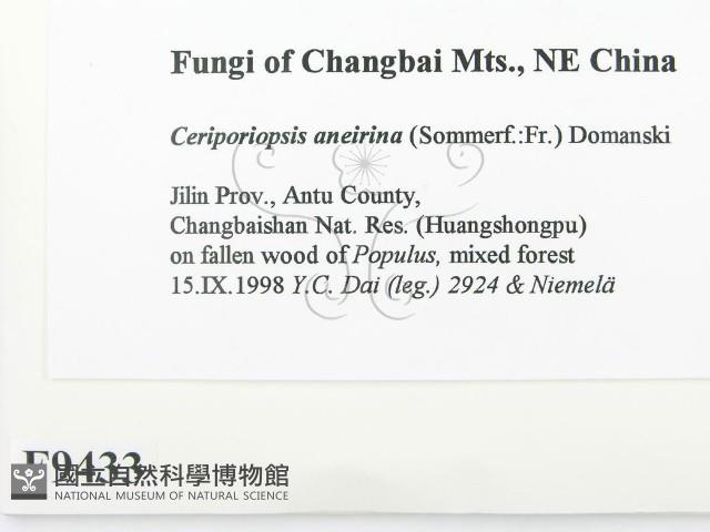 登錄號:F0009433藏品圖，第2張