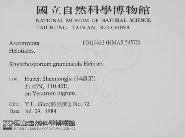 登錄號:F0019433藏品圖，第2張