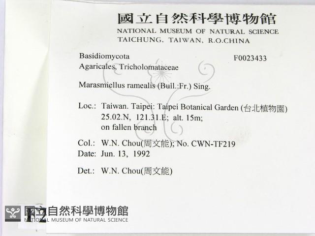 登錄號:F0023433藏品圖，第2張