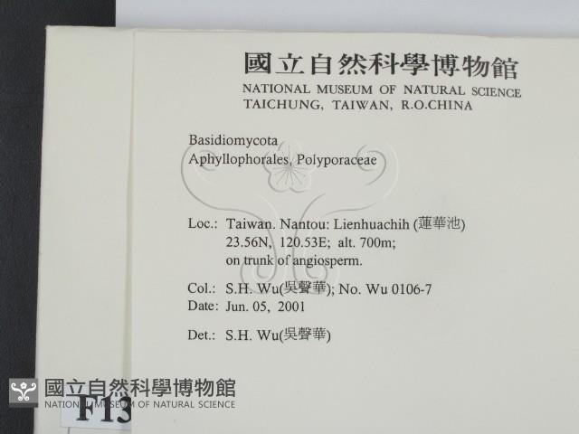 登錄號:F0013433藏品圖，第2張