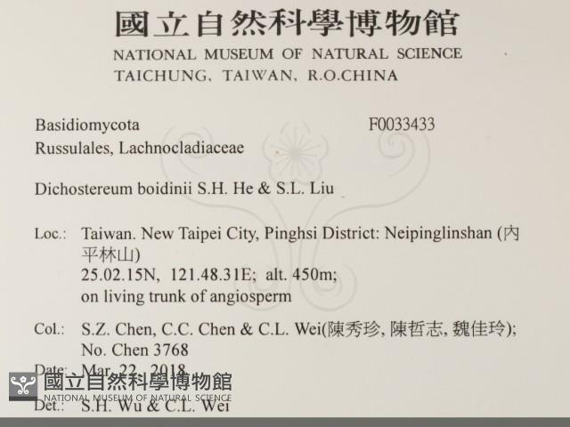 登錄號:F0033433藏品圖，第2張