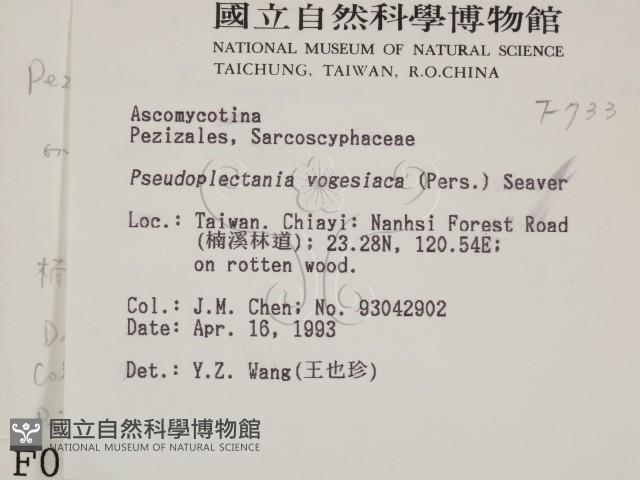 登錄號:F0000733藏品圖，第2張
