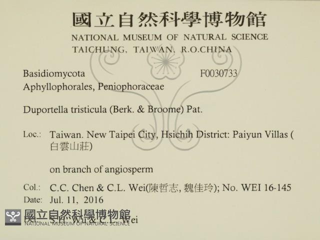 登錄號:F0030733藏品圖，第2張