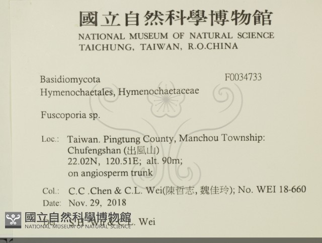 登錄號:F0034733藏品圖，第2張