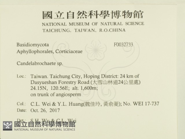 登錄號:F0032733藏品圖，第2張