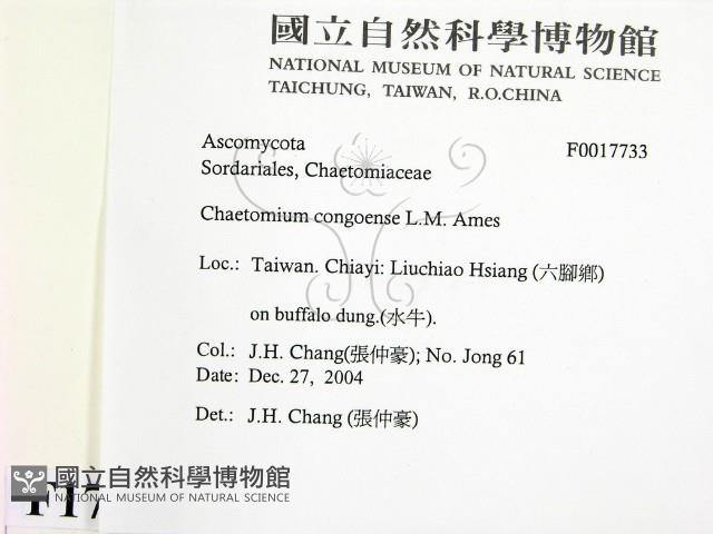 登錄號:F0017733藏品圖，第2張