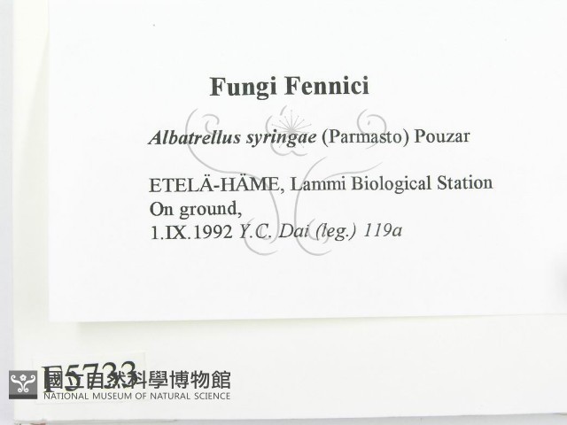 登錄號:F0005733藏品圖，第2張