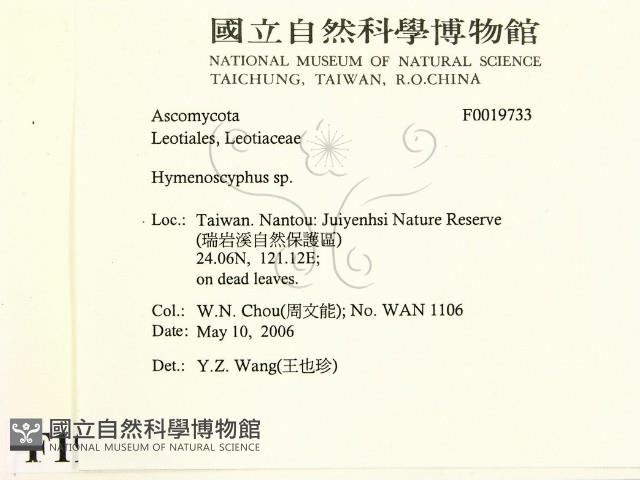 登錄號:F0019733藏品圖，第2張