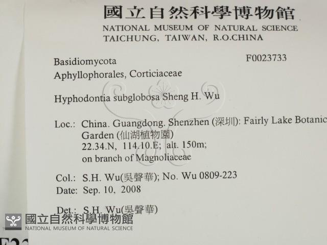 登錄號:F0023733藏品圖，第2張