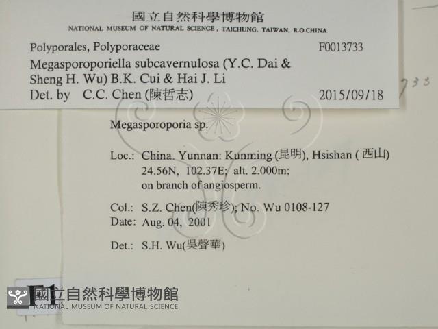 登錄號:F0013733藏品圖，第2張