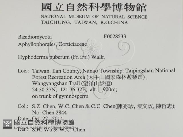 登錄號:F0028533藏品圖，第2張