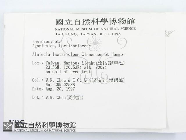 登錄號:F0008533藏品圖，第2張