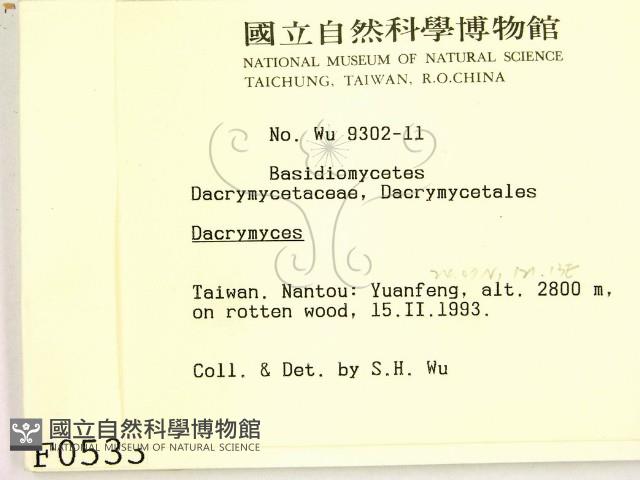 花耳屬藏品圖，第2張