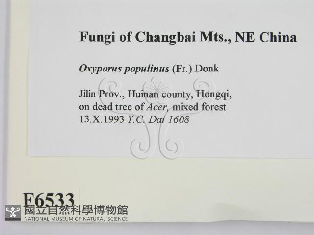 登錄號:F0006533藏品圖，第2張