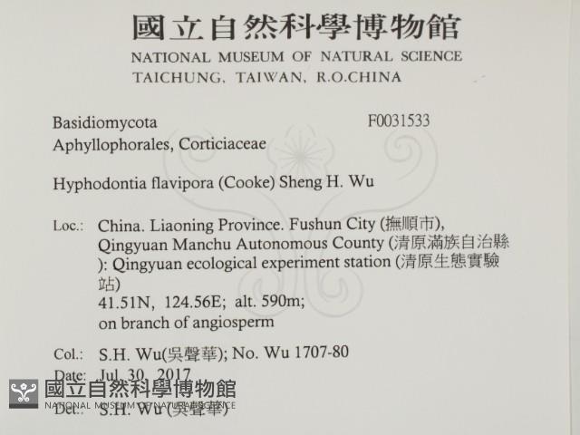 登錄號:F0031533藏品圖，第2張