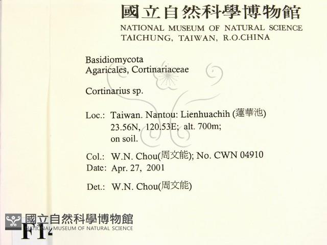 登錄號:F0014533藏品圖，第2張