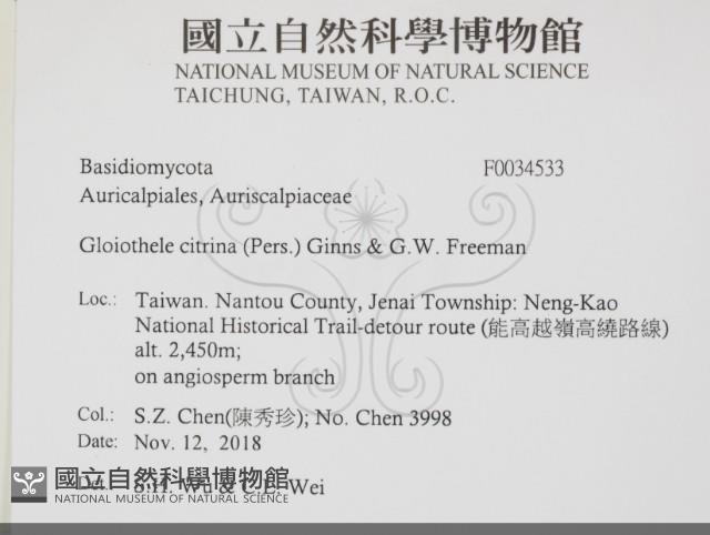 登錄號:F0034533藏品圖，第2張