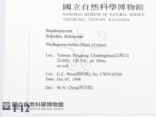 登錄號:F0012533藏品圖，第2張