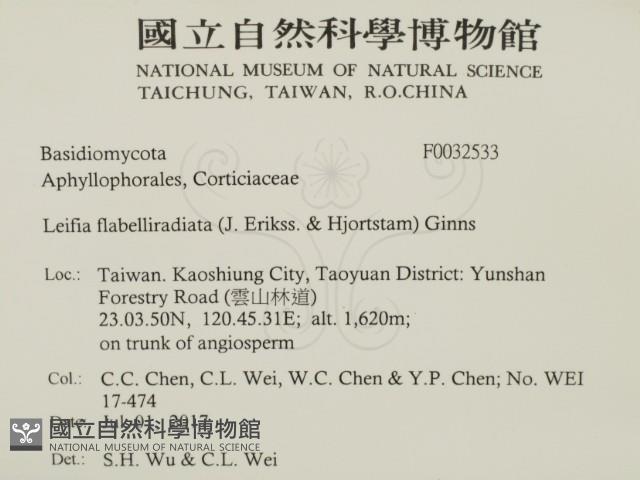 登錄號:F0032533藏品圖，第2張