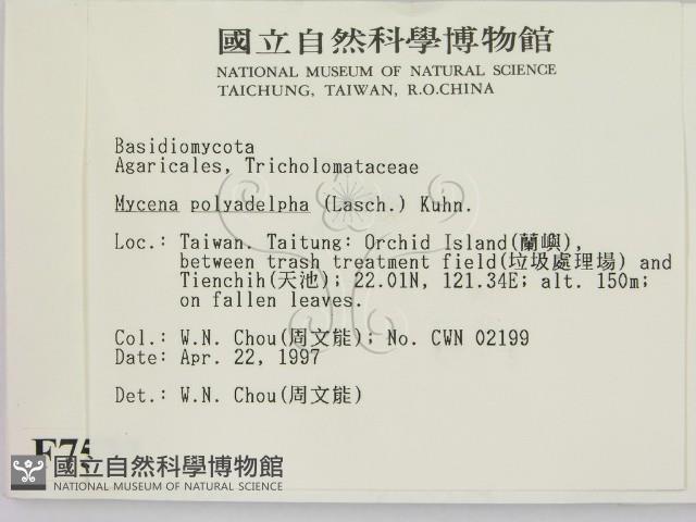 登錄號:F0007533藏品圖，第2張