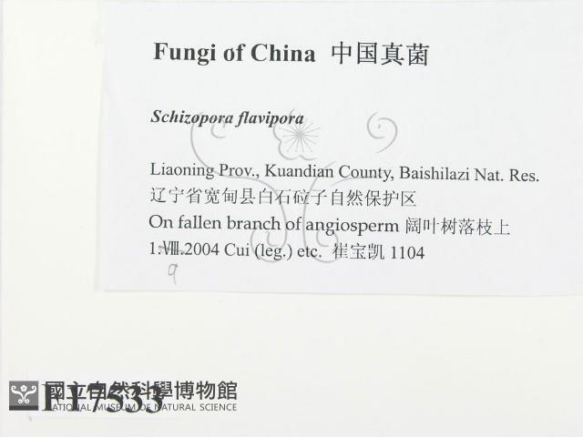 登錄號:F0017533藏品圖，第2張