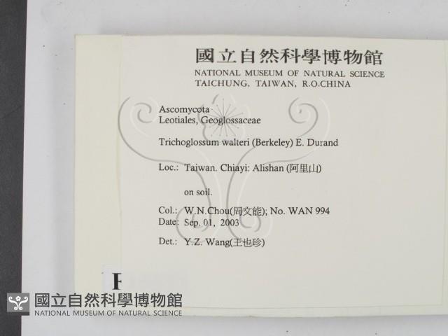登錄號:F0015533藏品圖，第2張