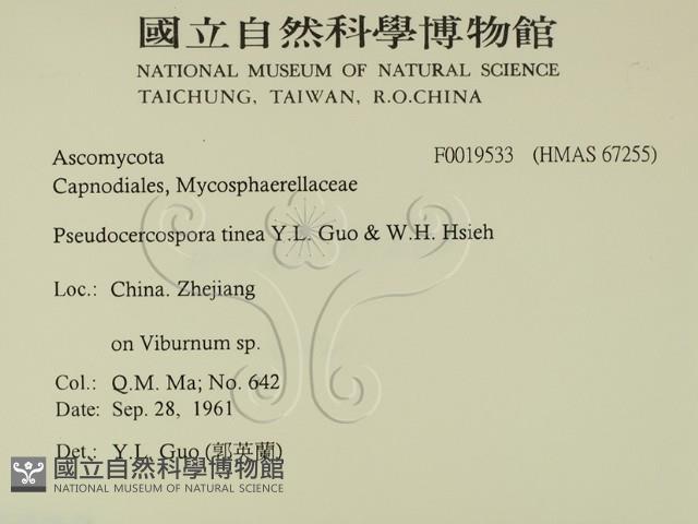 登錄號:F0019533藏品圖，第2張