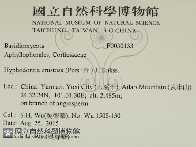 登錄號:F0030133藏品圖，第2張
