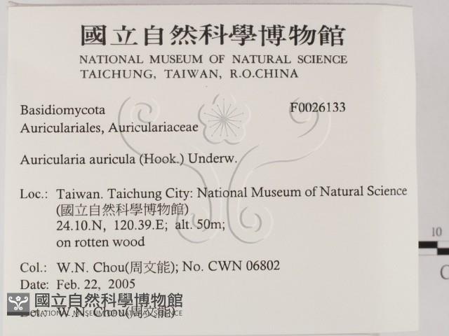 登錄號:F0026133藏品圖，第2張