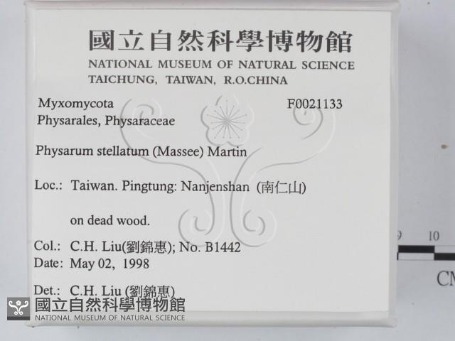 登錄號:F0021133藏品圖，第2張