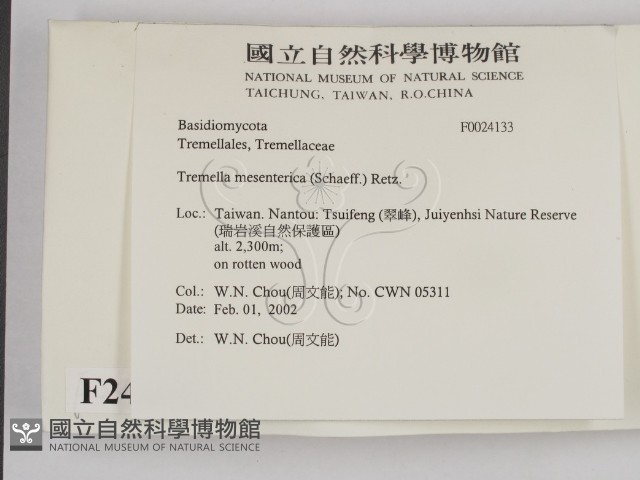 登錄號:F0024133藏品圖，第2張