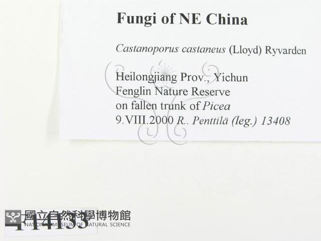 登錄號:F0014133藏品圖，第2張