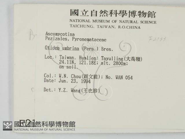 登錄號:F0002133藏品圖，第2張