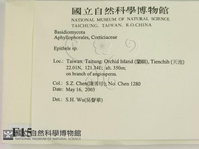 登錄號:F0015133藏品圖，第2張