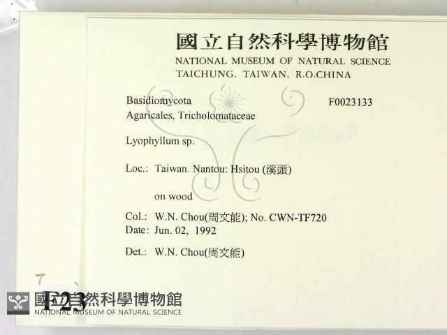 登錄號:F0023133藏品圖，第2張